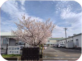 Kofu Plant ISO9001